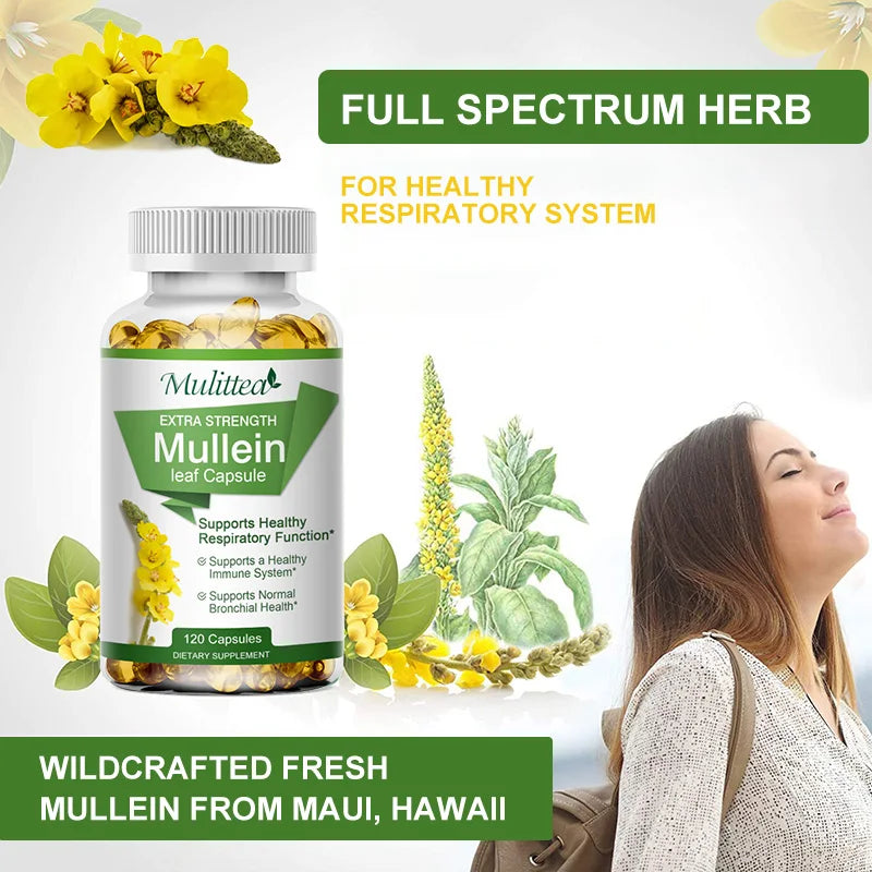 Mulittea Mullein Leaf Capsules for Respiratory Health Support