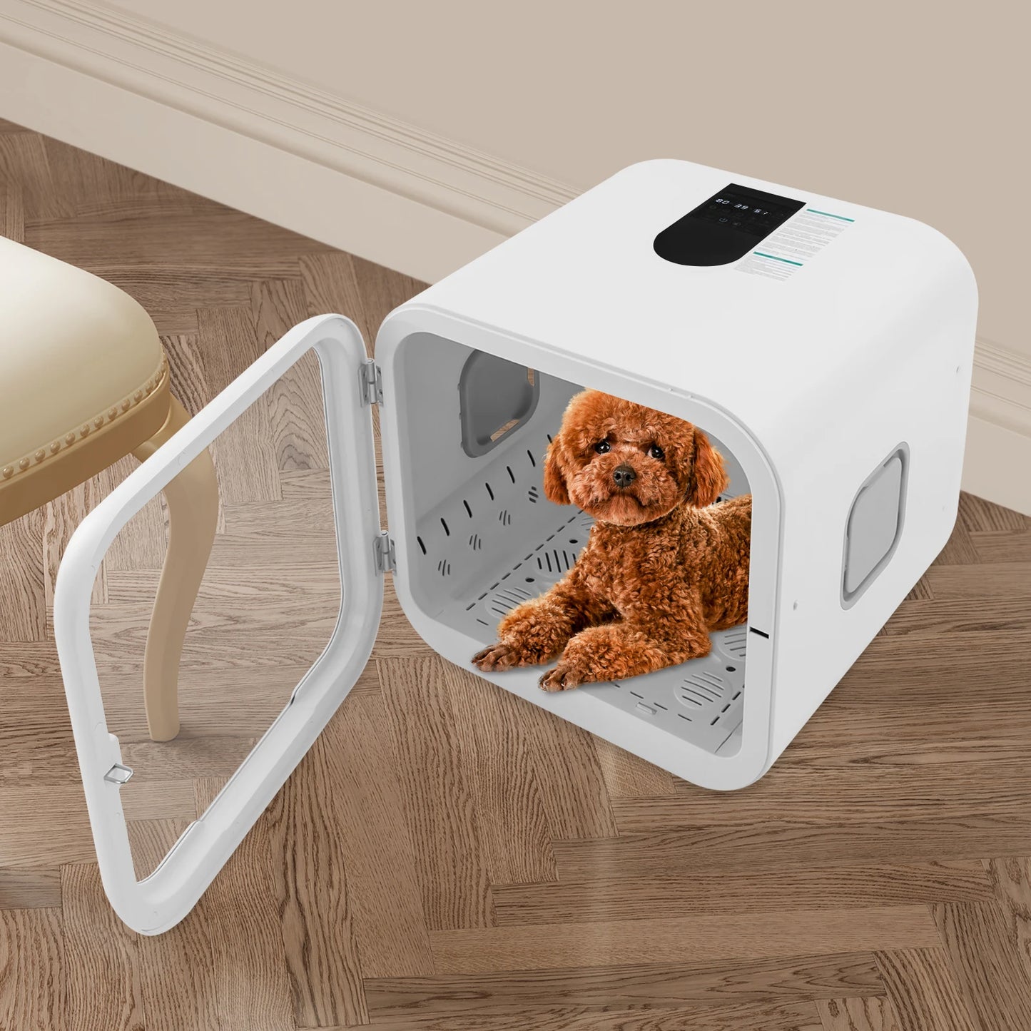 800W Pet Dryer Box For Multi-Cat Grooming