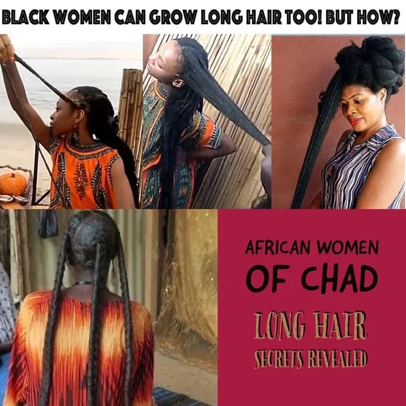 Chebe Hair Growth Shampoo Ancient African Formula For Fast Growth