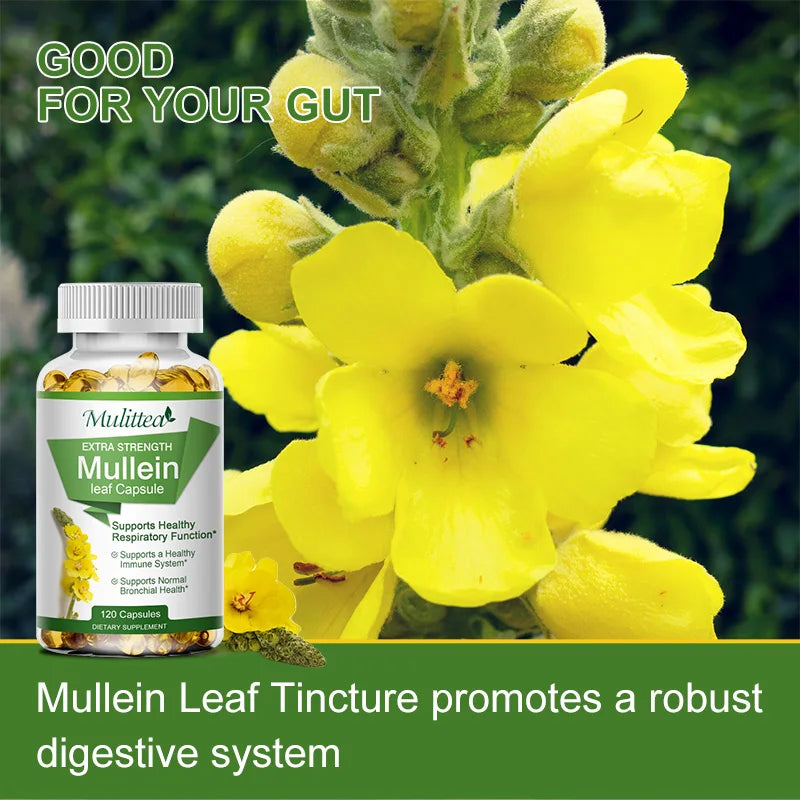 Mulittea Mullein Leaf Capsules for Respiratory Health Support
