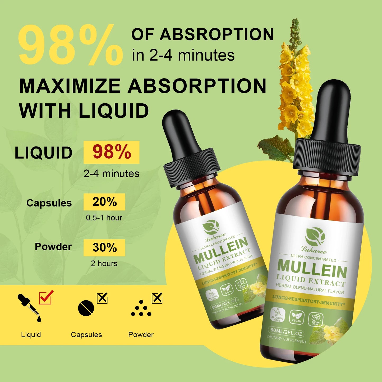 Mulittea Mullein Drops For Respiratory Support And Immunity