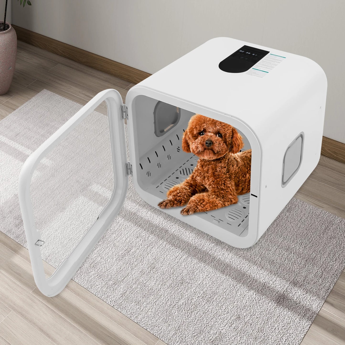 800W Pet Dryer Box For Multi-Cat Grooming