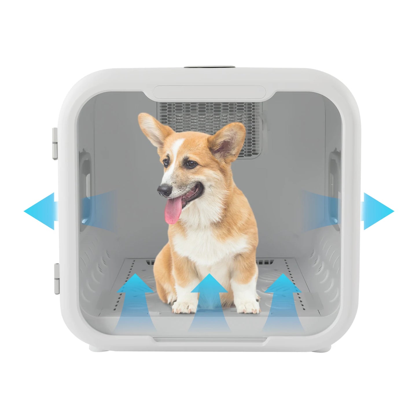 800W Pet Dryer Box For Multi-Cat Grooming