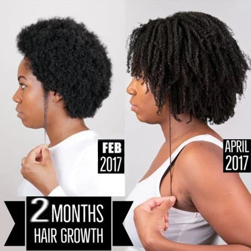 Chebe Hair Growth Shampoo Ancient African Formula For Fast Growth