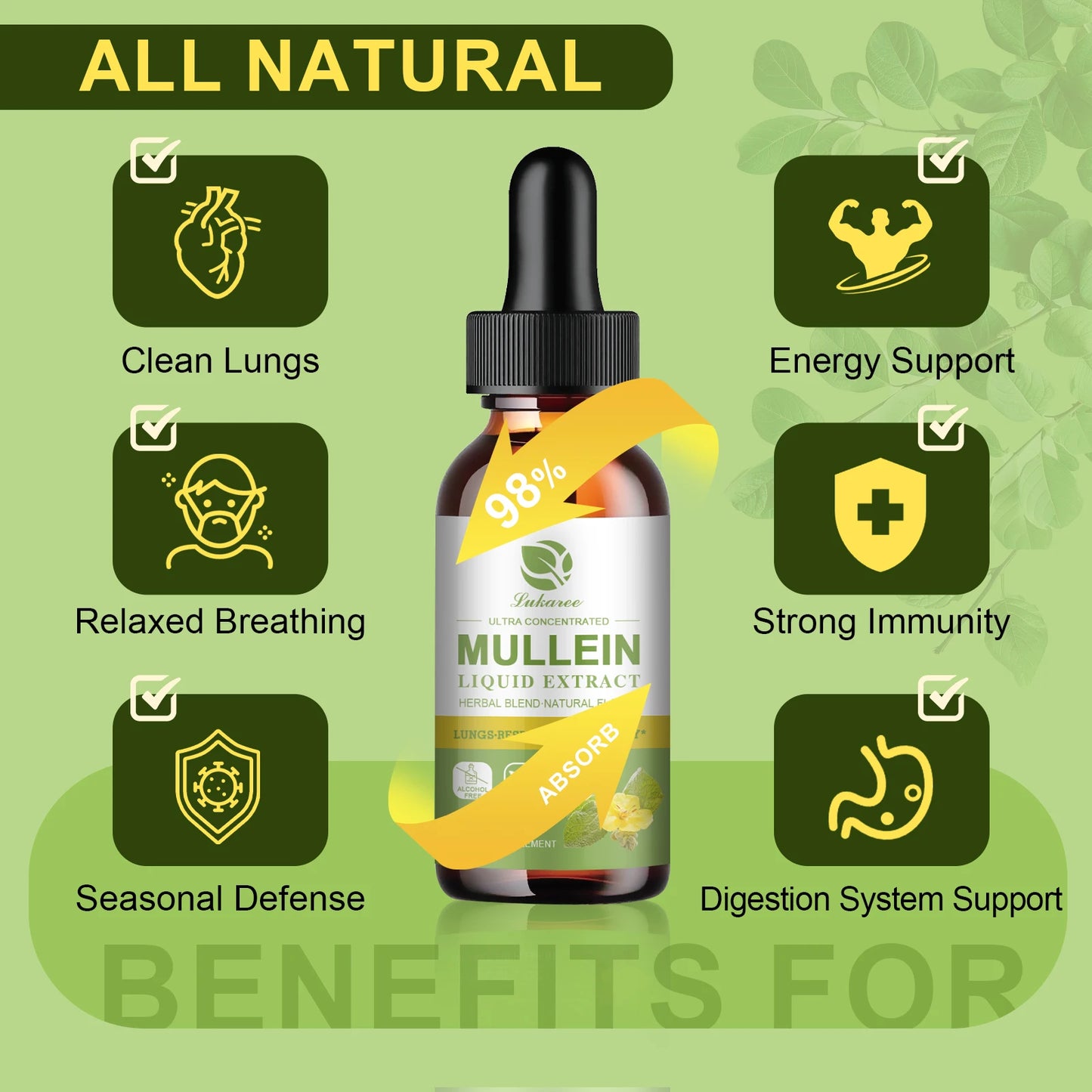Mulittea Mullein Drops For Respiratory Support And Immunity