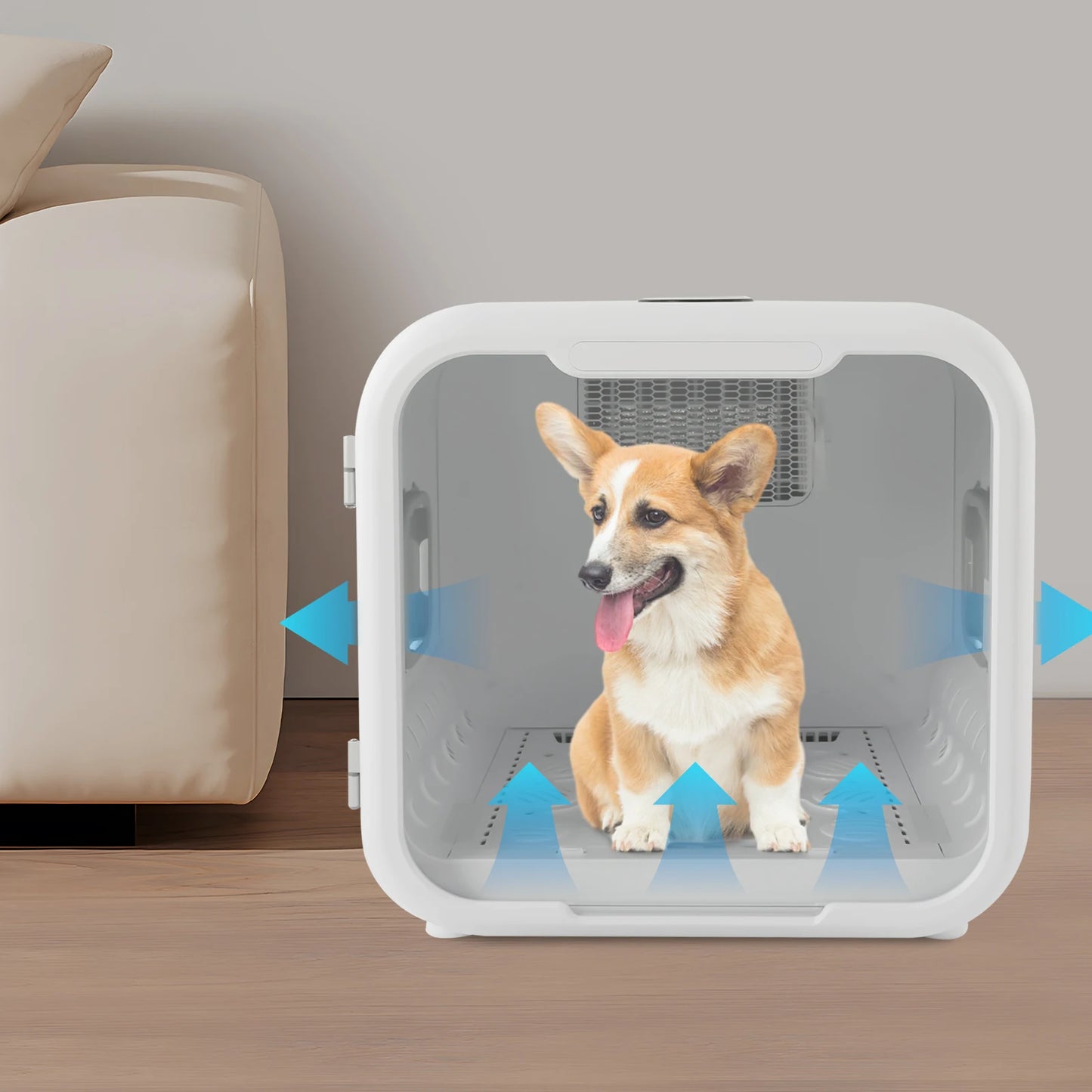 800W Pet Dryer Box For Multi-Cat Grooming